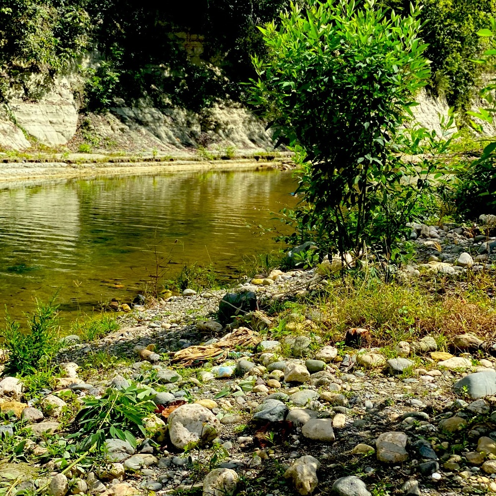 Welcome to my closet❤️